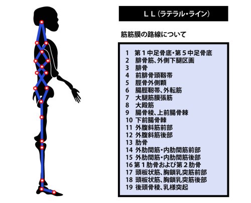 東御市,上田市,小諸市,整体,指圧,ほぐしや,マッサージ,アナトミー・トレイン
